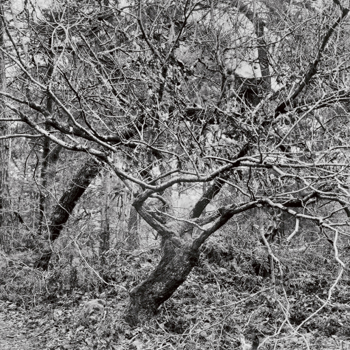 Arbres