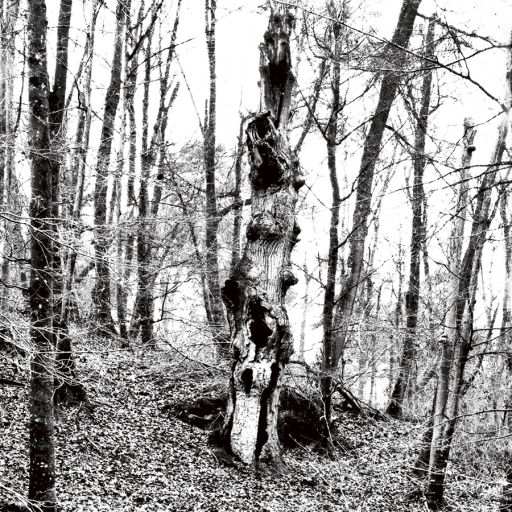 Arbres