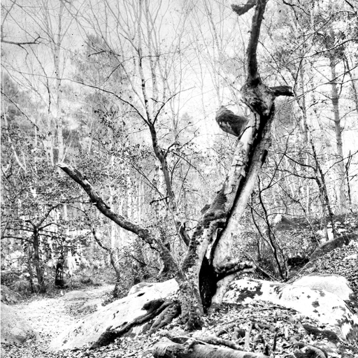 Arbres