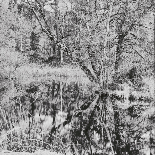 Arbres