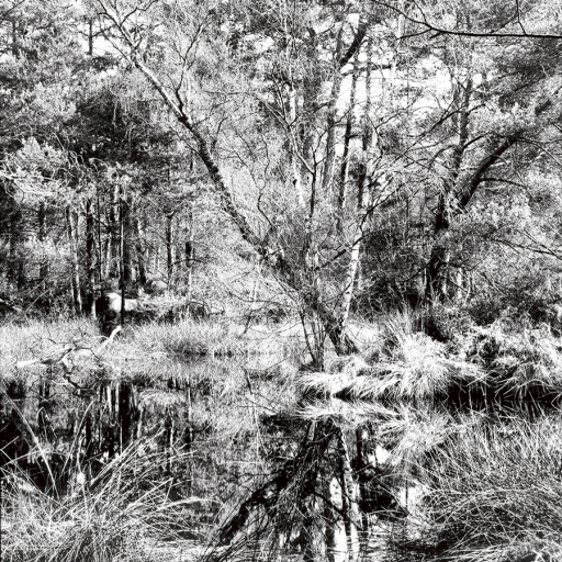 Arbres