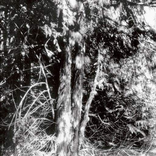 Arbres