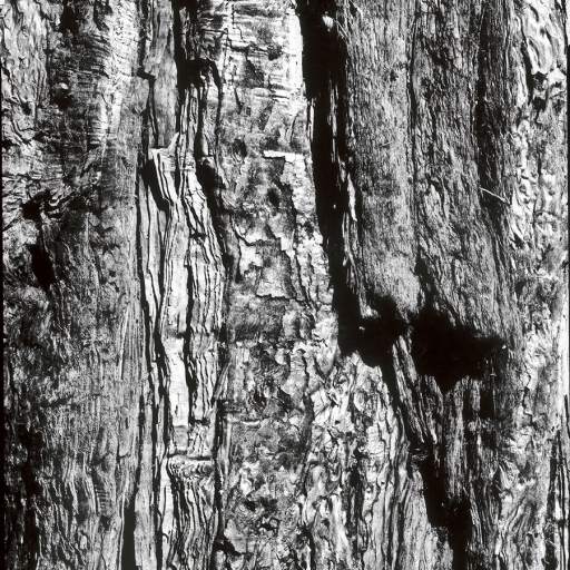 Arbres